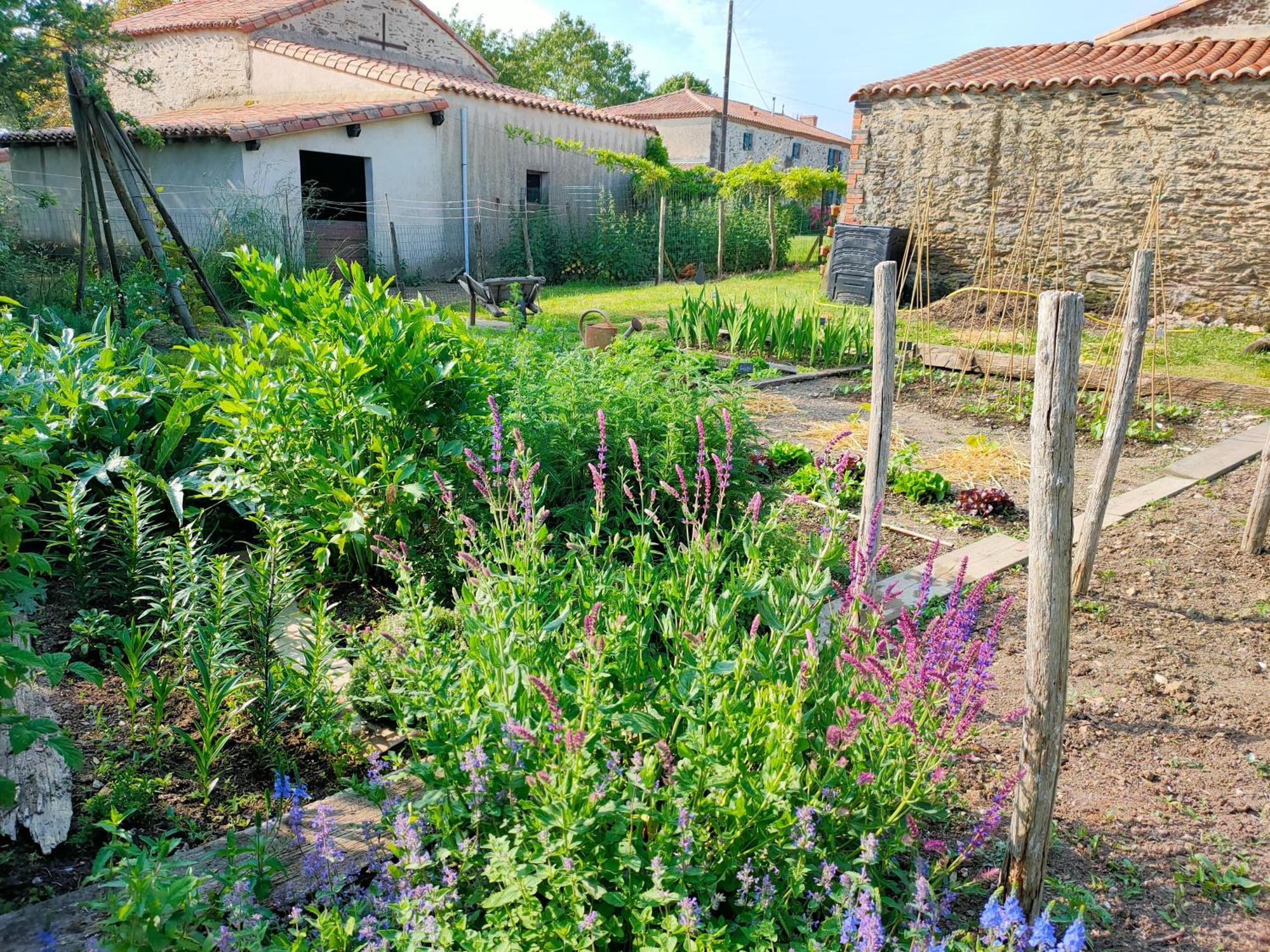 Le Vieux Logis De La Galocherie Sainte-Florence Exteriör bild